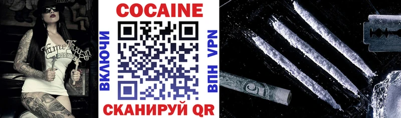 OMG как войти закладки Андреаполь Кокаин Fish Scale