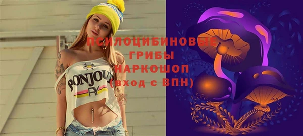 apvp Алексеевка