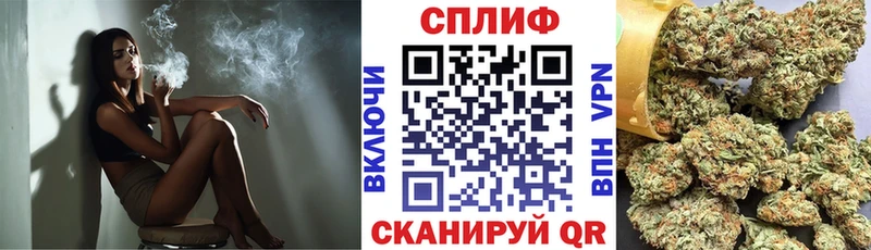 Бошки Шишки White Widow  где можно купить   Андреаполь 